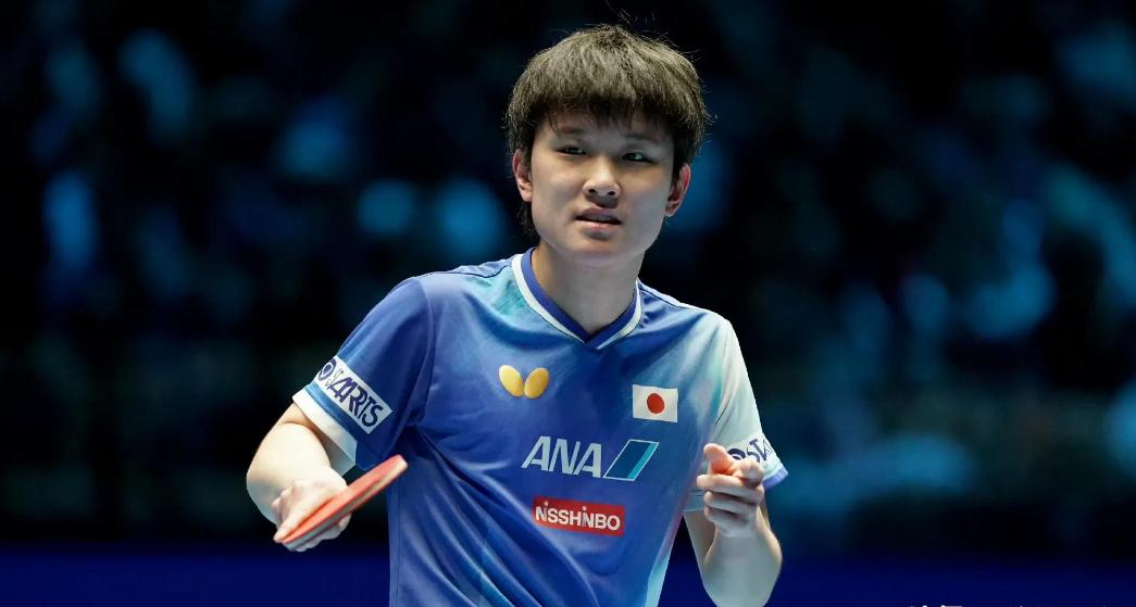 波兰乒乓球队轻取法国乒乓球队，张本智和绝境逆转的简单介绍