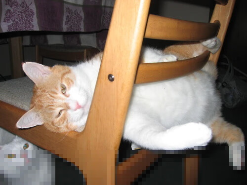 当爵士掀翻勇士，字母哥如何改写关键先生剧本