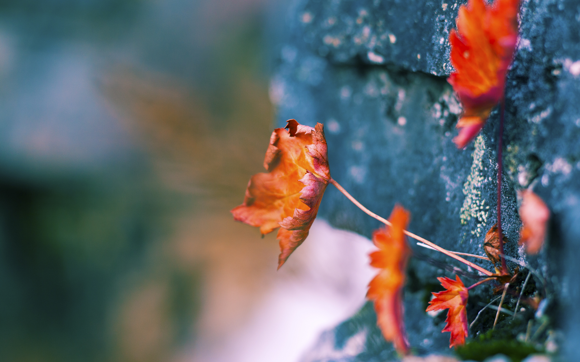 厄瓜多尔翻盘美国，篮球世界里的大地震